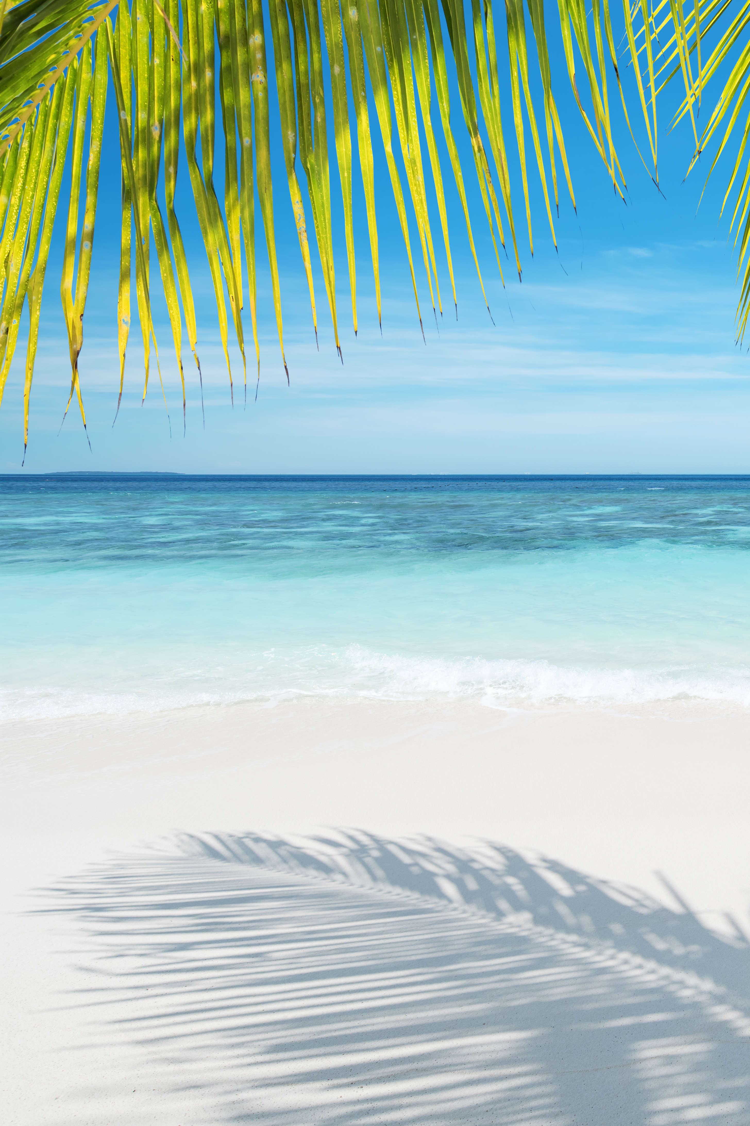 Tropical Beach Summer Background