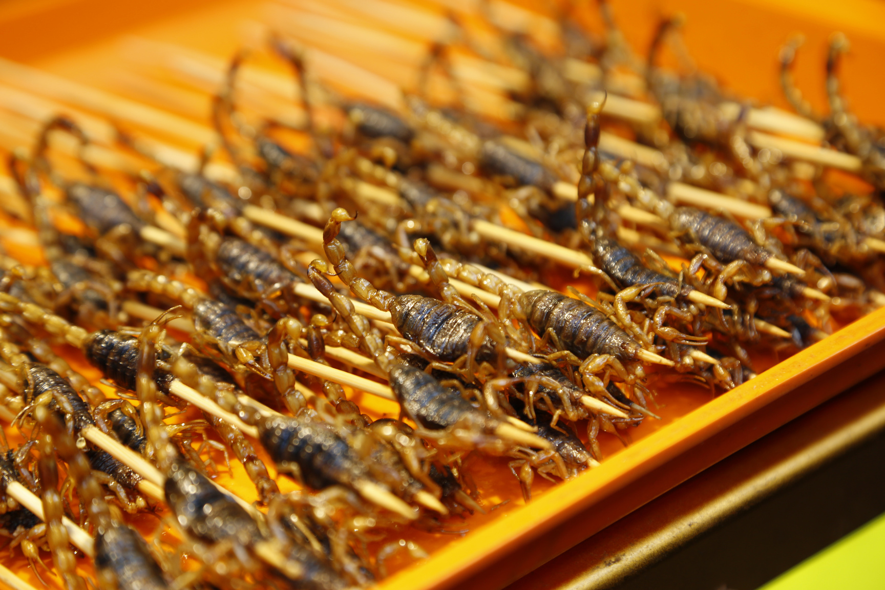 Selective Focus Photo of Skewered Scorpions